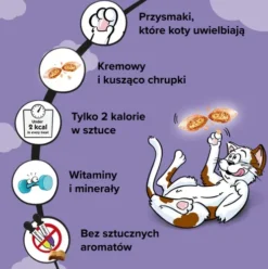 Dreamies Przysmak Wyśmienita Kaczka dla kota op. 60g [Data ważności: 16.03.2027]