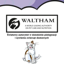 Dreamies Przysmak Wyśmienita Kaczka dla kota op. 60g PAKIET 6 szt. [Data ważności: 16.03.2027]