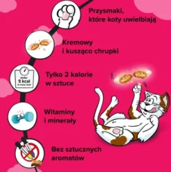 Dreamies Przysmak Wyśmienita Wołowina dla kota op. 60g [Data ważności: 20.01.2027]