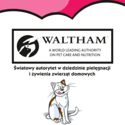 Dreamies Przysmak Wyśmienita Wołowina dla kota op. 60g [Data ważności: 20.01.2027]