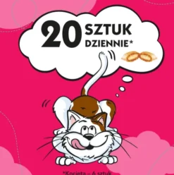 Dreamies Przysmak Wyśmienita Wołowina dla kota op. 60g PAKIET 6szt. [Data ważności: 30.01.2027]