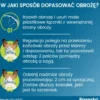Elanco Foresto Obroża na kleszcze i pchły dla psa i kota poniżej 8kg dł. 38cm