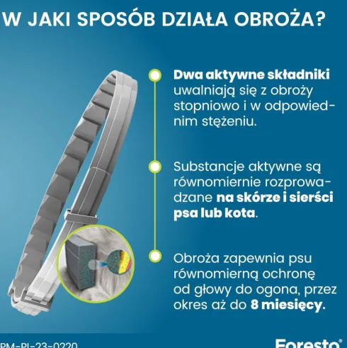 Elanco Foresto Obroża na kleszcze i pchły dla psa i kota poniżej 8kg dł. 38cm