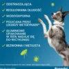 Elanco Foresto Obroża na kleszcze i pchły dla psa powyżej 8kg dł. 70cm