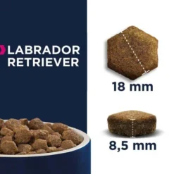 Eukanuba Adult Labrador Sucha Karma dla psa op. 12kg
