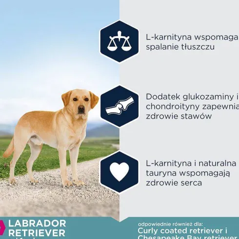 Eukanuba Adult Labrador Sucha Karma dla psa op. 2x12kg MEGA-PAK