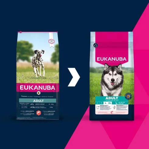 Eukanuba Adult Large&Extra Large Salmon&Barley Sucha Karma dla psa op. 2x12kg MEGA-PAK