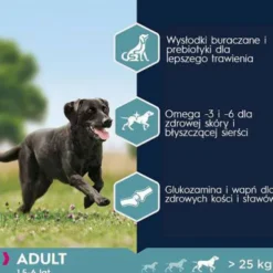 Eukanuba Adult Large Sucha Karma dla psa op. 15kg+3kg GRATIS