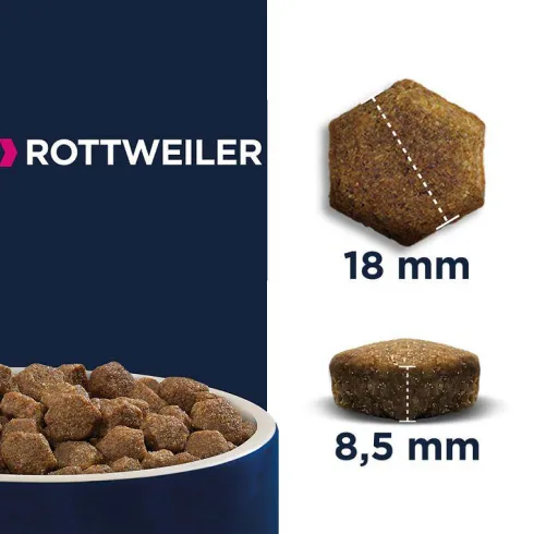 Eukanuba Adult Rottweiler Sucha Karma dla psa op. 2x12kg MEGA-PAK