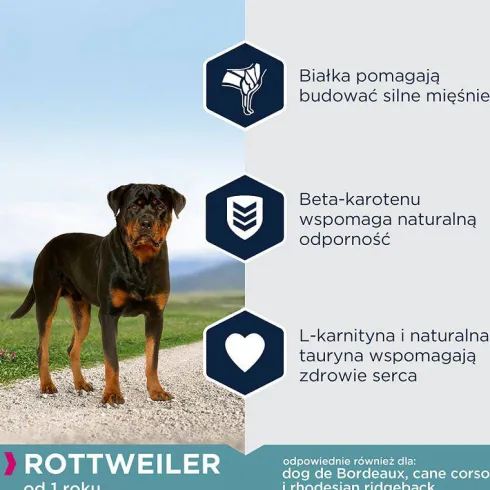 Eukanuba Adult Rottweiler Sucha Karma dla psa op. 2x12kg MEGA-PAK