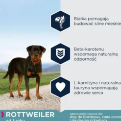 Eukanuba Adult Rottweiler Sucha Karma dla psa op. 12kg
