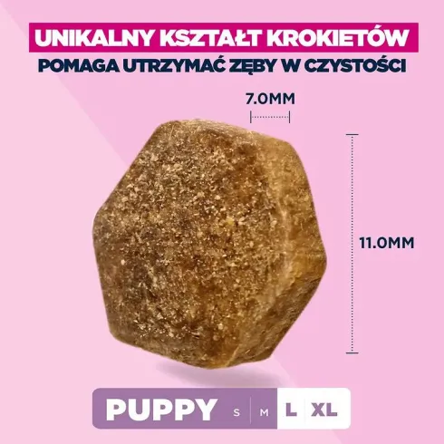 Eukanuba Puppy Large&Extra Large Sucha Karma dla szczeniaka op. 2x15kg MEGA-PAK