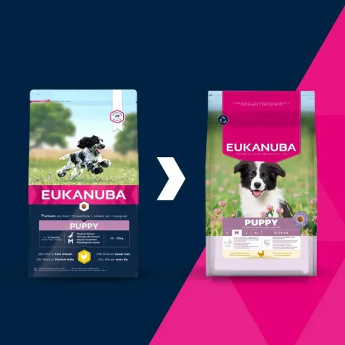 Eukanuba Puppy Medium Sucha Karma dla szczeniaka op. 15kg