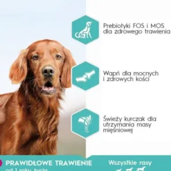 Eukanuba Special Care Adult Sensitive Digestion Sucha Karma dla psa op. 2x12kg MEGA-PAK