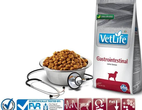 Farmina Vet Life Dog Gastrointestinal Sucha Karma dla psa op. 12kg
