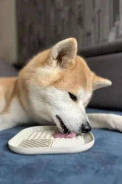 Fiboo Mata Fiboowl rozm. M kolor zielony