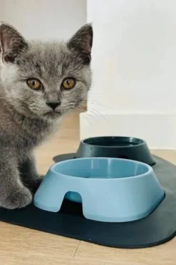 Fiboo Miska z przetworzonych butelek PET dla psa i kota poj. 0.2l kolor beżowy