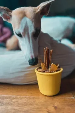 Fiboo Snack Fibeek Zabawka do wypełnienia jedzeniem kolor żółty + przykrywka (z otworem)