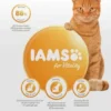 Iams Vitality Adult with Tuna Sucha Karma dla kota op. 3kg