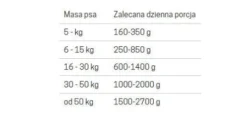 John Dog Berry line Adult Dziczyzna z malinami Mokra Karma dla psa op. 800g