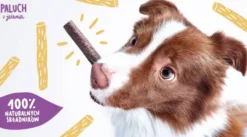 John Dog Premium Przysmak Paluchy z kozy dla psa op. 7szt.