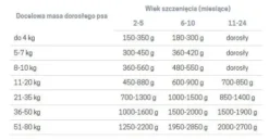 John Dog Pumpkin line Puppy Dzik z królikiem i dynią Mokra Karma dla psa op. 400g Pakiet 6szt.