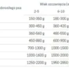 John Dog Pumpkin line Puppy Dzik z królikiem i dynią Mokra Karma dla psa op. 800g