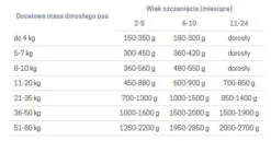 John Dog Pumpkin line Puppy Dzik z królikiem i dynią Mokra Karma dla psa op. 800g
