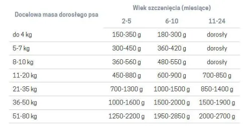 John Dog Pumpkin line Puppy Dzik z królikiem i dynią Mokra Karma dla psa op. 800g Pakiet 6szt.