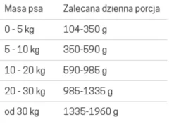 John Dog Pure Black Adult Beef Mokra Karma dla psa op. 400g