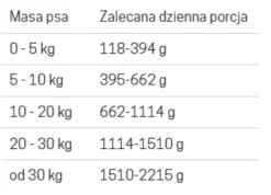 John Dog Pure Black Adult Duck Mokra Karma dla psa op. 400g