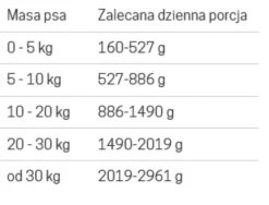 John Dog Pure Black Adult Pheasant Mokra Karma dla psa op. 400g Pakiet 6szt.