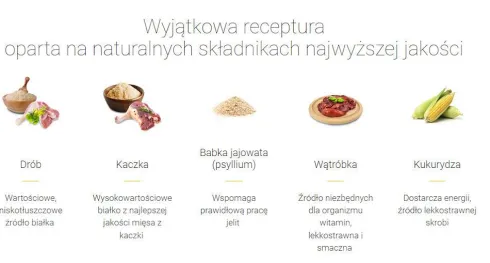 Josera Adult Catelux Sucha Karma dla kota op. 2kg + Josera Mokra karma op. 200g GRATIS