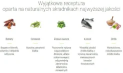 Josera Adult NatureCat Sucha Karma dla kota op. 2kg + Josera Mokra karma op. 200g GRATIS