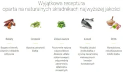 Josera Adult NatureCat Sucha Karma dla kota op. 2x10kg MEGA-PAK