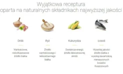 Josera Josicat Sterilised Classic Adult Sucha Karma dla kota op. 10kg [Data ważności: 12.12.2026]