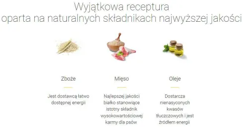 Josera JosiDog Adult Economy Sucha Karma dla psa op. 15kg+3kg GRATIS