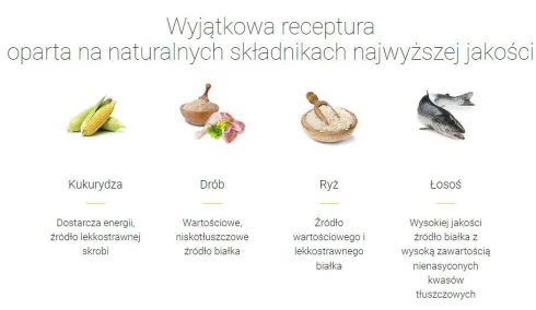 Josera Kitten Sucha Karma dla kociąt op. 2x10kg MEGA-PAK