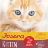 Josera Kitten Sucha Karma dla kociąt op. 10kg+1kg GRATIS
