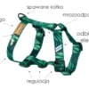 Lauren Design Szelki Guard dla psa rozm. XL kolor zielony Forest nr kat. 22043100 WYPRZEDAŻ OSTATNIA SZTUKA