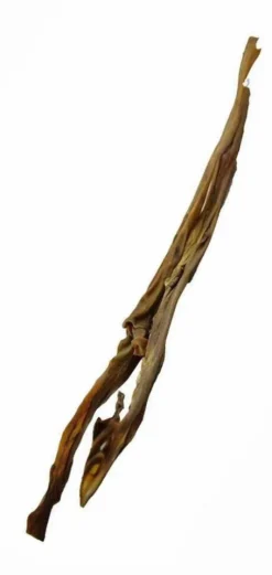 Maced Gryzak Skóra z sarny rozm. 45cm dla psa