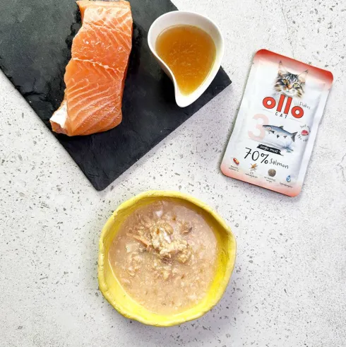 Ollo Cat Nr 3 Salmon Mokra Karma dla kota op. 85g