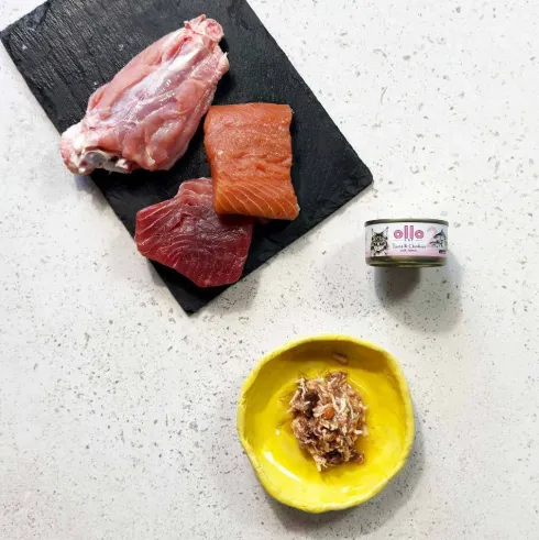 Ollo Cat Tuna&Chicken with Salmon Mokra Karma dla kota op.70g