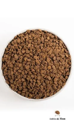 Orijen Original Cat Sucha Karma dla kota op. 340g