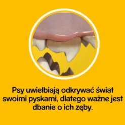 Pedigree Przysmak DentaStix dla psa op. 56pack (8x110g)