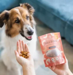 Perro DAJ DWA Jagnięcina Trenerki Przysmaki dla psa op. 85g