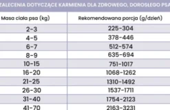 Perro Fish Adult Morszczuk z batatami Mokra Karma dla psa op. 400g
