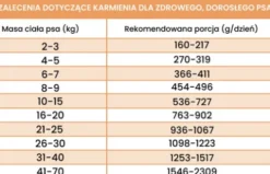 Perro Gourmet Adult Cielęcina z cukinią Mokra Karma dla psa op. 400g Pakiet 6szt.