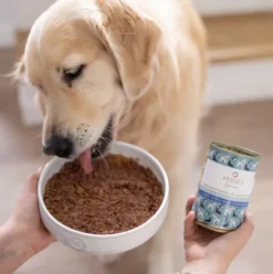 Perro Gourmet Adult Konina z korzeniem pietruszki Mokra Karma dla psa op. 400g