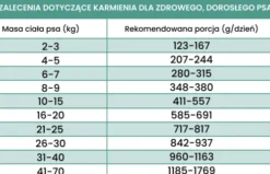 Perro Gourmet Adult Konina z korzeniem pietruszki Mokra Karma dla psa op. 400g